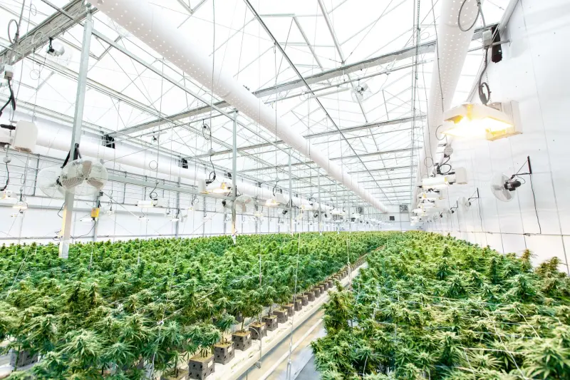 原创潮牌服饰面料工艺解析:千娱音2024夏季系列技术亮点